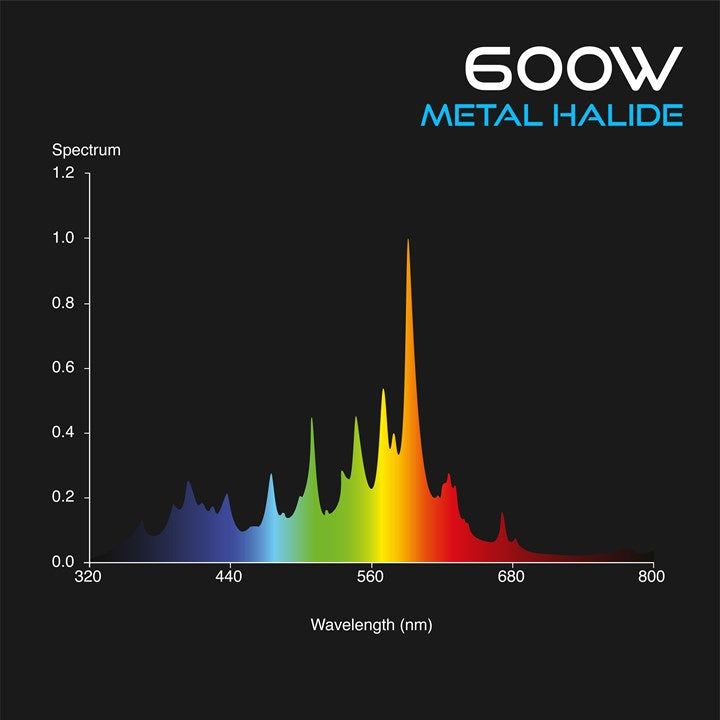 600w metal deals halide